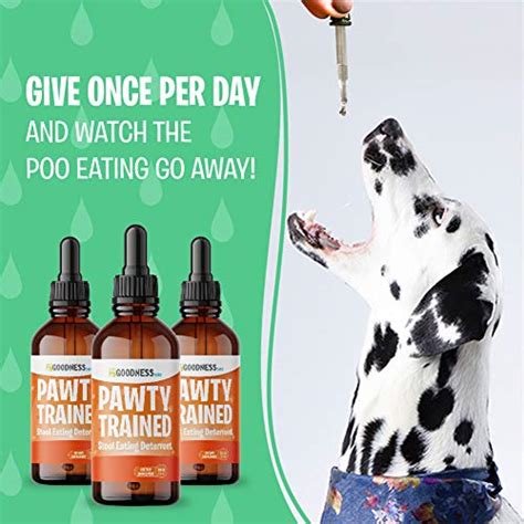 Coprophagia Treatment For Dogs Dog Stool Eating Deterrent Herbal