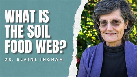 What Is The Soil Food Web Dr Elaine Ingham Soil Biology Youtube