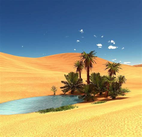 desert oasis wallpapers top free desert oasis backgrounds wallpaperaccess