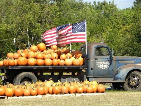 Puppies for sale, dogs for sale from dog breeders. 25 Pumpkin Farms Near Me - The Best Pumpkin Patches in America