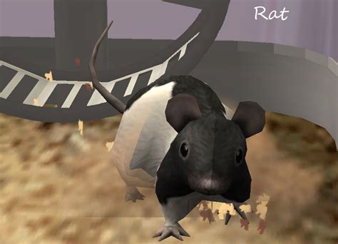Mod The Sims Updated 01132012 Animated Lizards And Rodents