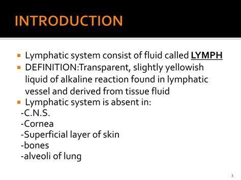 What Is A Lymphatic Drainage Definition Best Drain Photos Primagemorg