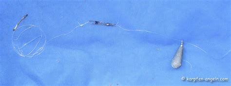 Wenn sie wissen möchten, wann das laichen stattfindet, dann müssen sie zuerst die froschart bestimmen. Karpfen Grundmontage | karpfen-angeln.com