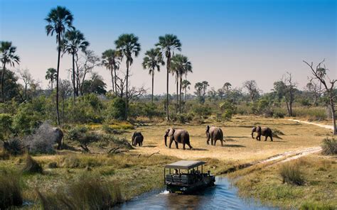 The World Most Beautiful Places Okavango Delta Botswana