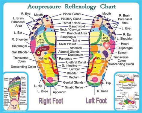 Whats The Truth Behind Acupressure And Acupressure Points In Healing