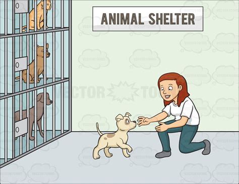 A Female Volunteer In An Animal Shelter Vector Graphics Vectortoons