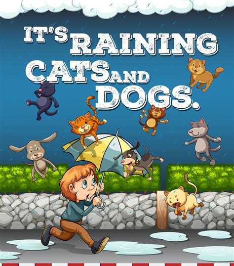 Raining Cats And Dogs Idiom Meaning Whether The Weather Raining