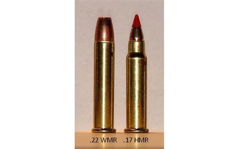 Cartridge Debate 17 Hmr Vs 22 Mag Gun And Survival