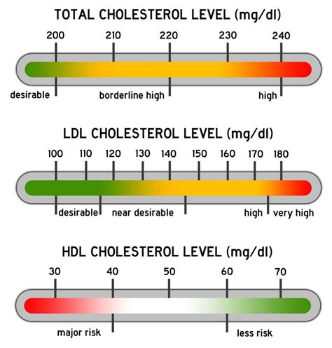 Cholesterol Cholesterol Hdl Levels Arteries Riset