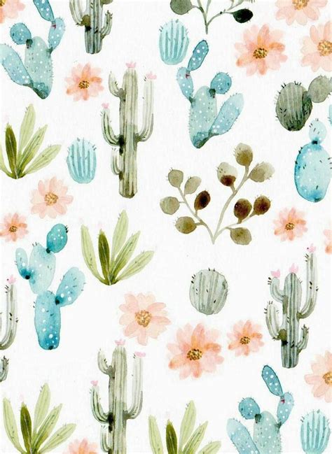Pinterest Javi Kassens ↠ Watercolor Cactus Watercolor Clipart