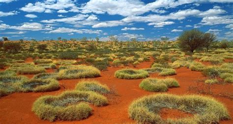 Click To See More Details Top 10 Largest Deserts In The World
