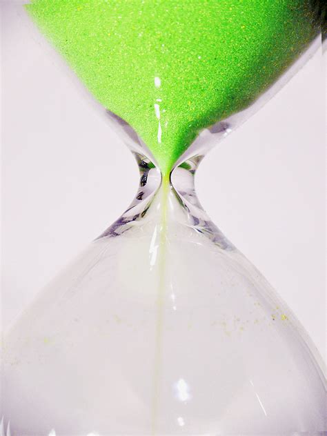무료 이미지 화이트 꽃잎 시각 범위 녹색 계시기 와인 잔 자유형 모래 시계 동안 단계 ~의 시간 기간