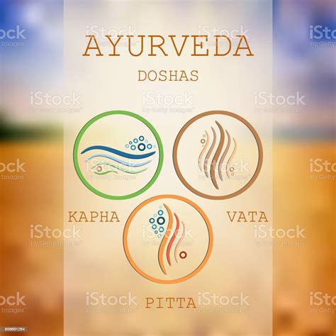Doshas Vata Pitta Kapha Ayurvedic Body Types Stock Illustration