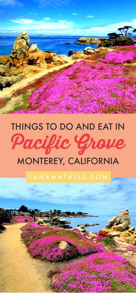 Things To Do In Pacific Grove California Tanama Tales California