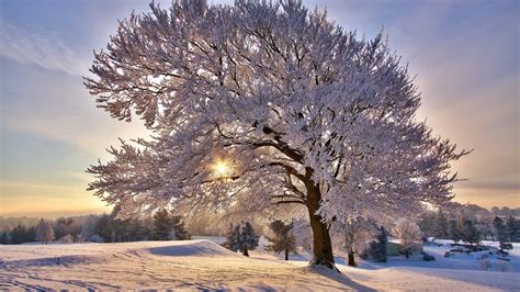 Beautiful Winter Morning Mac Wallpaper Download Allmacwallpaper