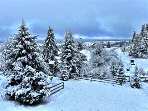 Iarnă în Toată Regula La Mărișel Zăpada A Creat Un Peisaj Spectaculos