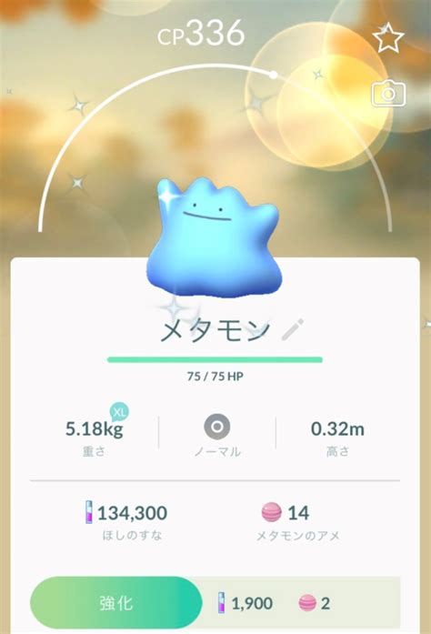 pokémon go let s go event now underway around the world ditto and shiny ditto now appearing