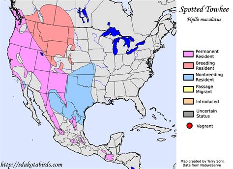 Spotted Towhee Species Range Map