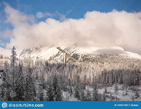 Fir Trees Under The Snow Winter Landscape Of The Mountain Fores Stock