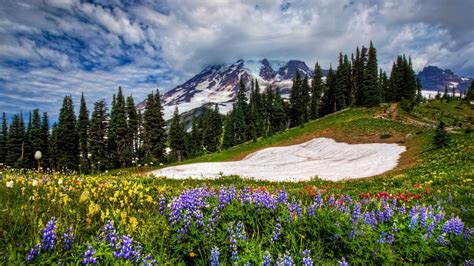 Mountain Scenery Interior Wallpaper Wallpapersafari