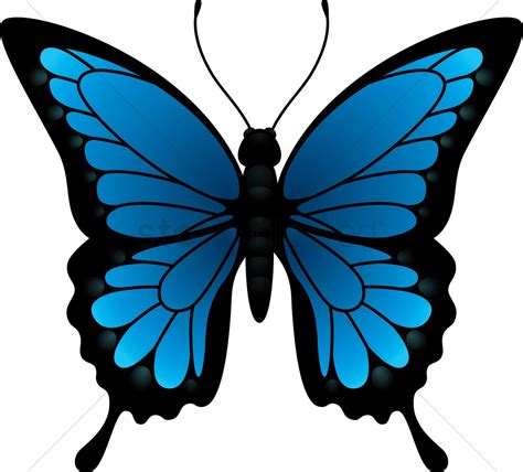 Butterfly Vector Image 2016189 Stockunlimited