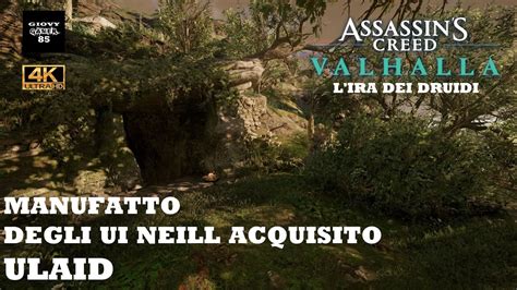Assassin S Creed Valhalla L Ira Dei Druidi Manufatto Degli Ui Neill