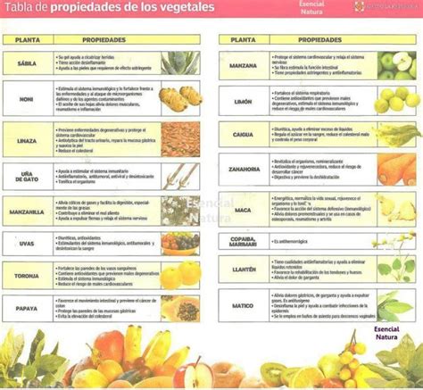 Tabla Practica Y Guia Rapida De Vegetales Por Sus Propiedades Medicinales Alimentos Con