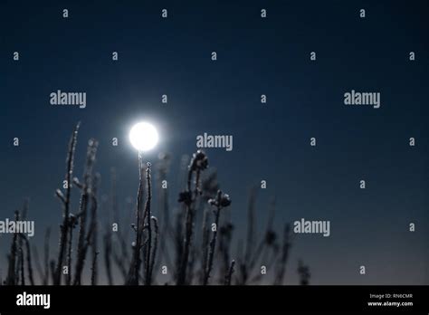 Full Moon Through Tree Branches Hi Res Stock Photography And Images Alamy