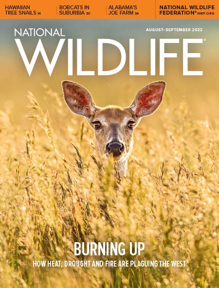 National Wildlife Magazine National Wildlife Federation