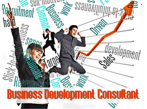 Business Development Consultant Nxt Lvl Roi Business Consulting Services And Marketing Solutions