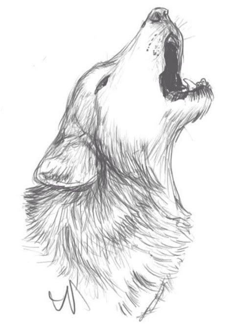 Pencil Drawings Of Animals Easy How To Draw An Easy Wolf