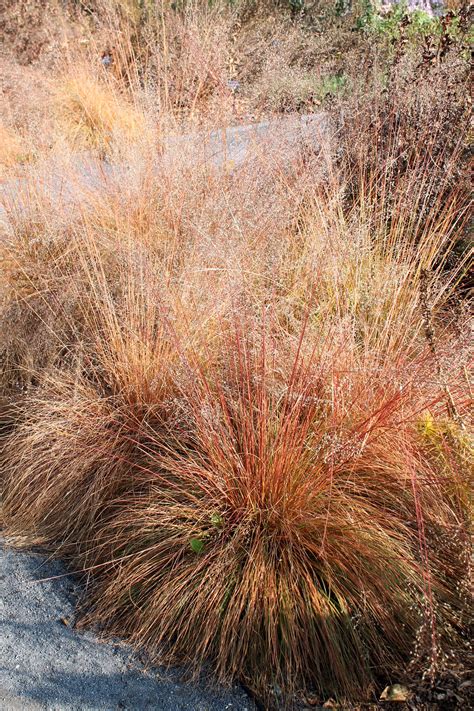 How Do You Know If Grass Seed Is Good - Does Grass Seed Get Too Old or Go Bad? | How to Tell