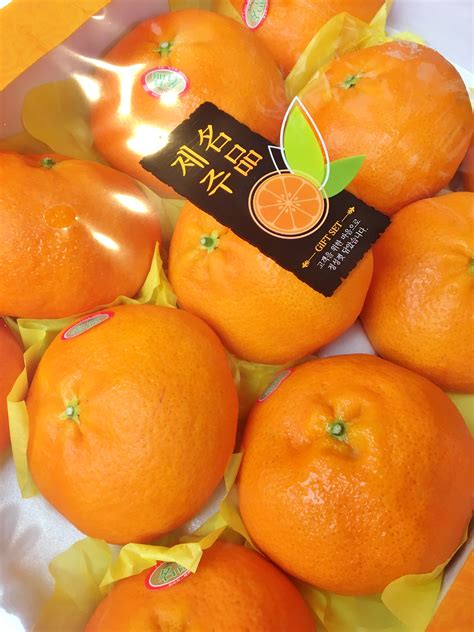 Jeju Red Hyang Mandarin Orange Gift Box (3kg) — MomoBud