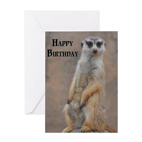 Meerkat Happy Birthday Greeting Card Meerkat Birthday Card Cafepress