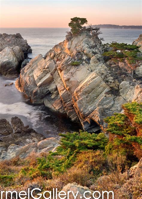 Point Lobos Big Sur