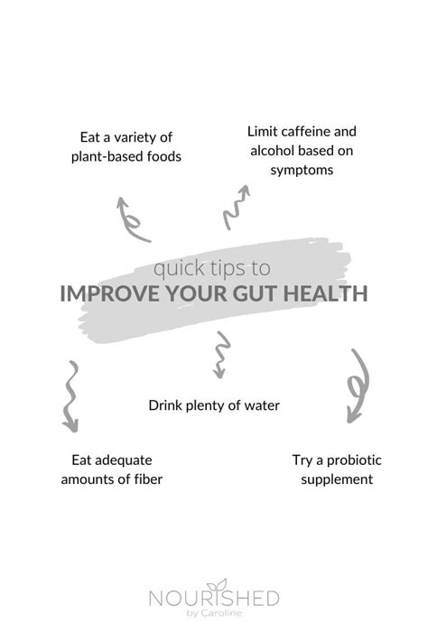 Quick Tips To Improve Your Gut Health Nourished By Caroline