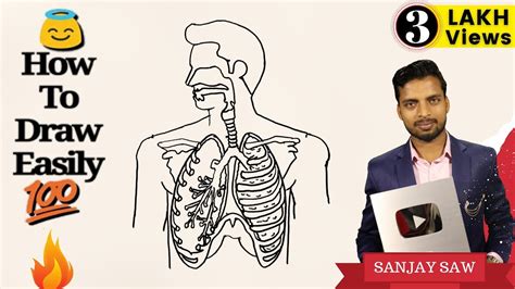 How To Draw Respiratory System Step By Step For Beginners Youtube