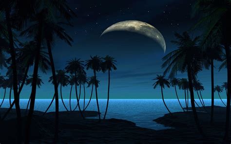 Night Beach Wallpapers Wallpaper Cave