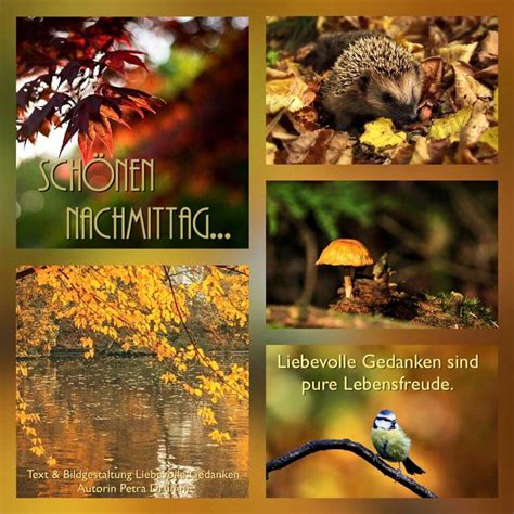 Grüße zum wochenende wochenende lustig schönen sonntag bilder schönen sonntag sprüche sonntagsgrüße bilder sonntagabend gute. Bild von Karin Kramer auf Nachmittag | Nachmittags grüße ...