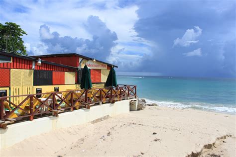 Run Wild Run Free Barbados ~ Hot Soca Fever Outrageously Wild Crop Over Oh Yeahnice Beaches