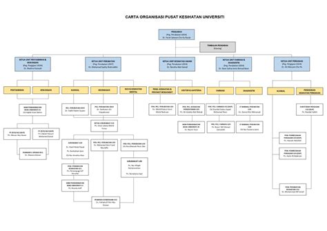 Organisation Chart Upsi Pusat Kesihatan