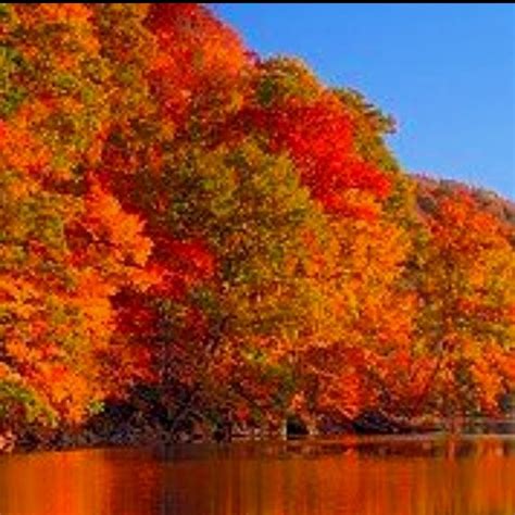 Found On Bing From Vermont Fall Autumn Scenery Fall
