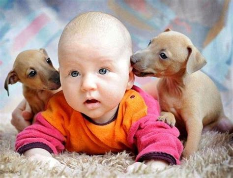Cute Puppies And Baby Annie Many