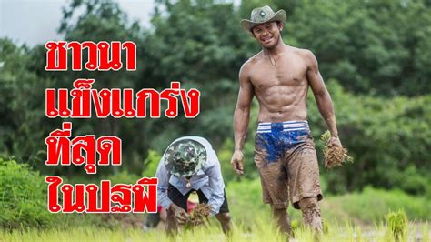 พี่ตูน กับ บัวขาว ยังได้ถอดเสื้อโชว์กล้ามหน้าทองอวดกัน โดยเฉพาะในรายของนักร้อง. ชาวนาที่แข็งแกร่งที่สุดในปฐพี 'บัวขาว' โชว์สตรอง ดำนาพร้อม ...