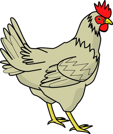 Animal Chiken Clipart 10 Free Cliparts Download Images On Clipground 2020