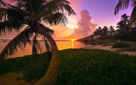 Landscape Nature Beach Sunset Palm Trees Sea Sky