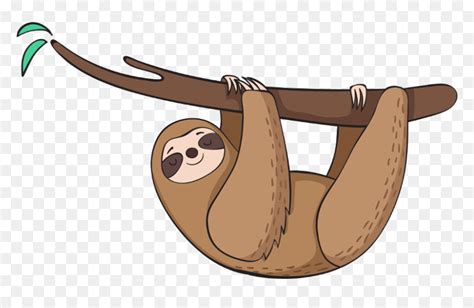 Sloth Cliparts Stock Vector And Royalty Free Sloth Illustrations