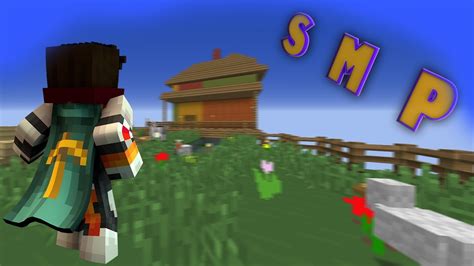Stealth Smp Donation Link In Description Youtube