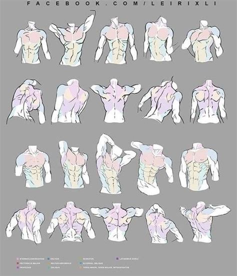 Male Body Drawing References Male Body Drawing Art Reference Body