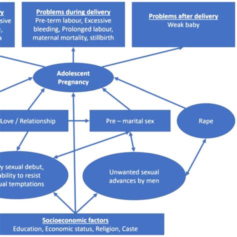 Conceptual Framework For Causes And Consequences Of Adolescent